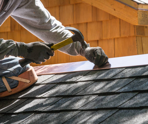 Best Roof Gutter Cleaning  in East Sparta, OH